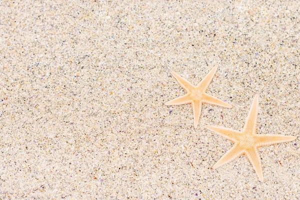 Αστερίες άμμο στην παραλία — Φωτογραφία Αρχείου