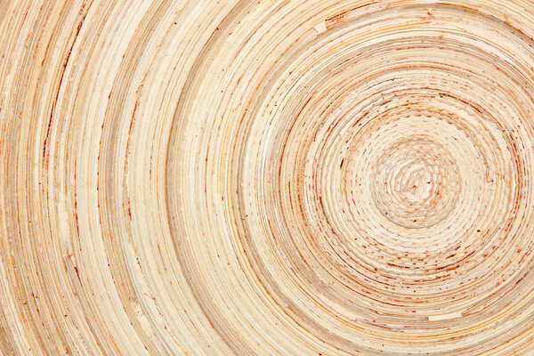 timber circles texture