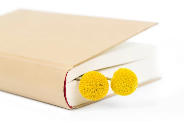 Closed book with flowers — Stock Photo, Image