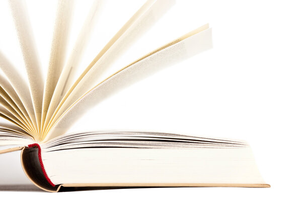 открытая бежевая книга
