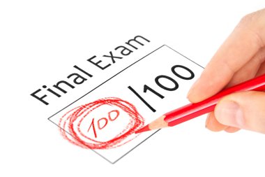 final sınavı 100 işaretlenmiş