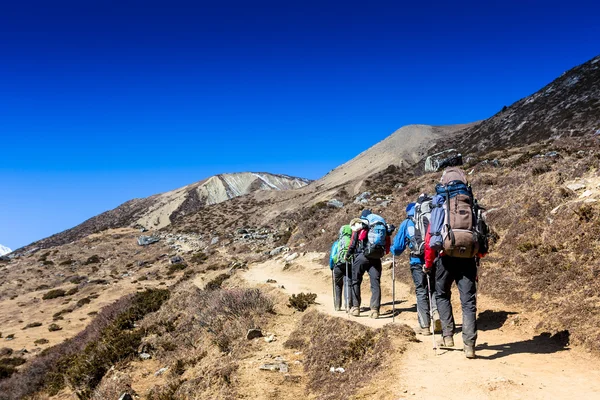 Wandergruppe in den Bergen — Stockfoto