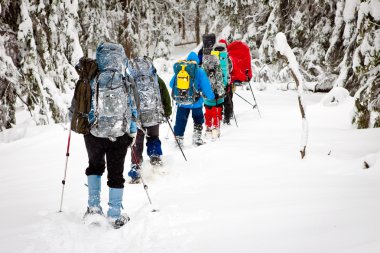 Dağlarda bir grup yürüyüşçü