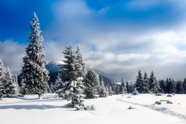 Dağlarda güzel kış