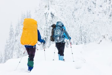 Dağlarda bir grup yürüyüşçü