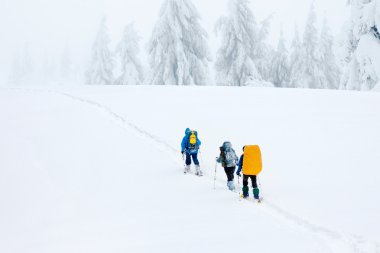 Dağlarda bir grup yürüyüşçü