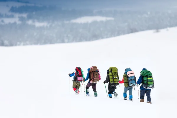 Dağlarda bir grup yürüyüşçü — Stok fotoğraf