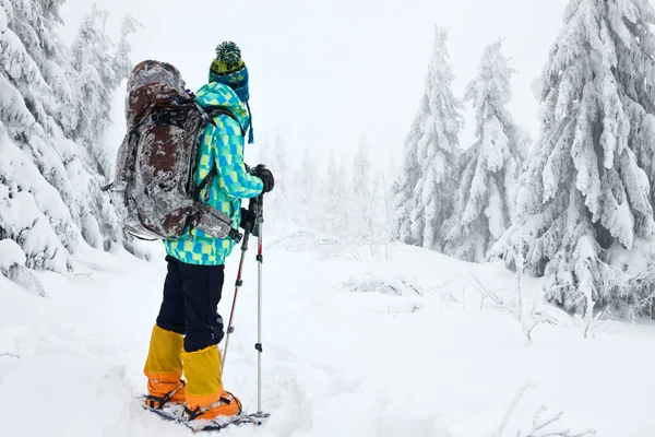 Senderismo en las montañas de invierno — Foto de Stock