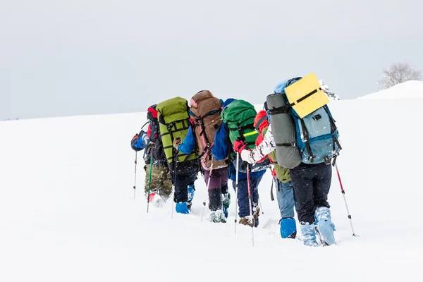 Grupo de caminhantes nas montanhas — Fotografia de Stock