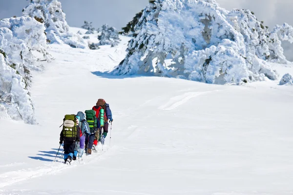 Grupo de caminhantes nas montanhas — Fotografia de Stock