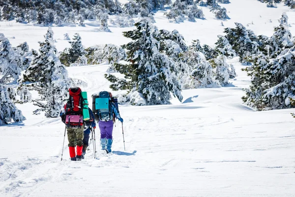 Groupe de randonneurs en montagne — Photo