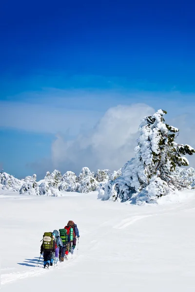 Groupe de randonneurs en montagne — Photo