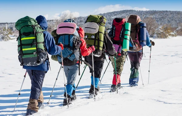 Groupe de randonneurs en montagne — Photo