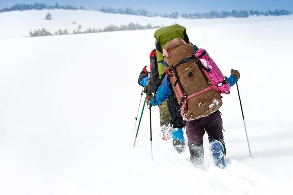 Groupe de randonneurs en montagne — Photo