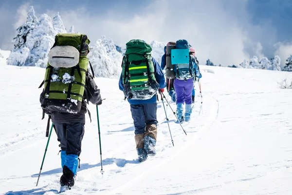 Group of hikers in mountains — Stock Photo, Image