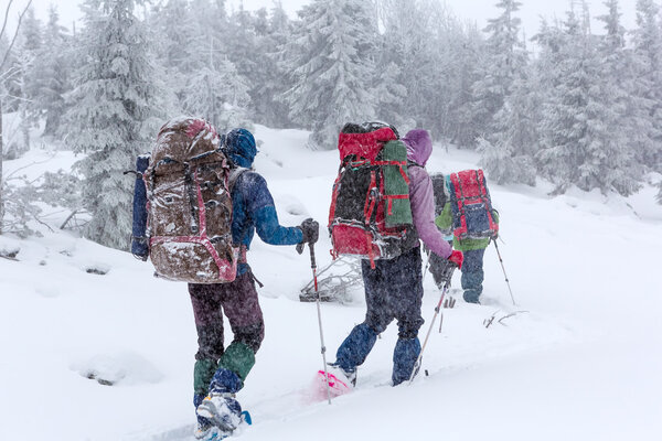 Group of climbers in winter