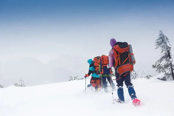 Groupe d'alpinistes en hiver — Photo