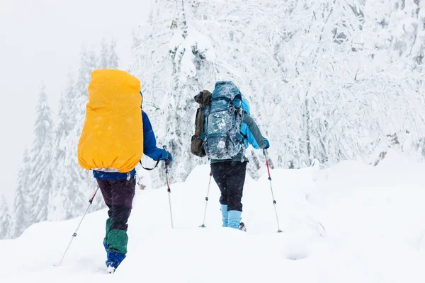 Groupe de randonneurs en montagne — Photo