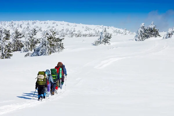 Grupo de caminhantes nas montanhas — Fotografia de Stock