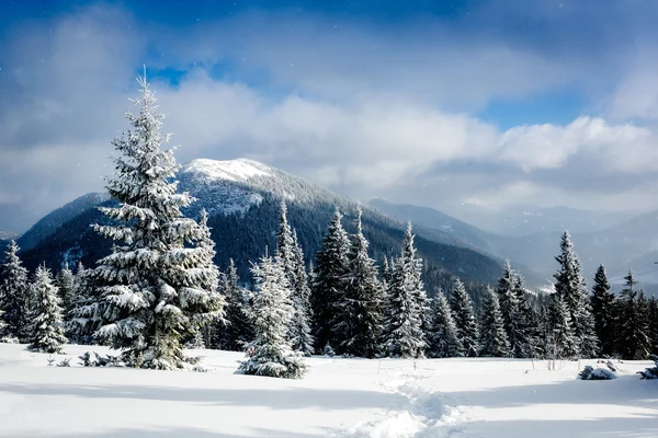 Bellissimo inverno in montagna — Foto Stock