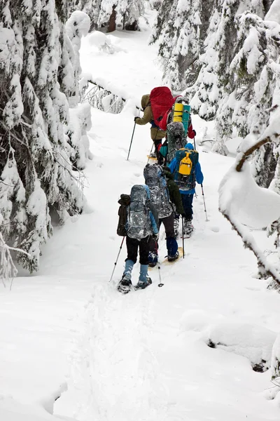 Groupe de randonneurs en montagne — Photo