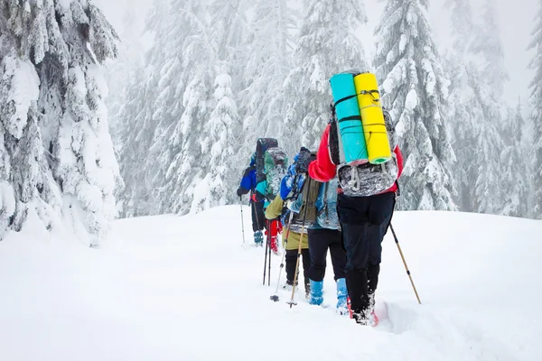 Groupe de randonneurs en montagne — Photo