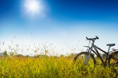 Çimlerin üzerinde bisiklet