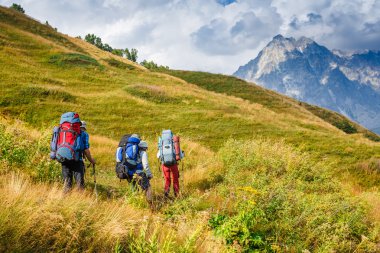 bir grup insan hiking 