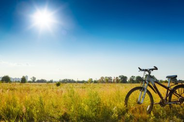 Çimlerin üzerinde bisiklet