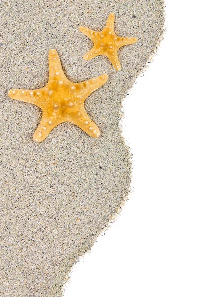 Αστερίας στην άμμο της παραλίας — Φωτογραφία Αρχείου