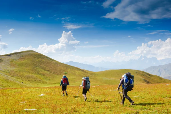 bir grup insan hiking 