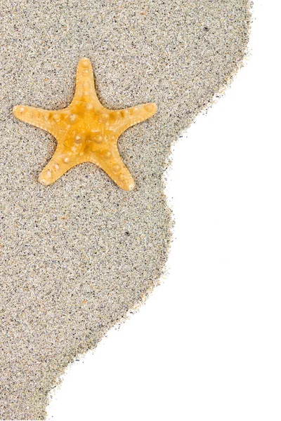 Starfish on Beach sand — Stock Photo, Image