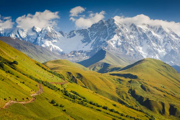 Pegunungan Kaukasus, Georgia . — Stok Foto