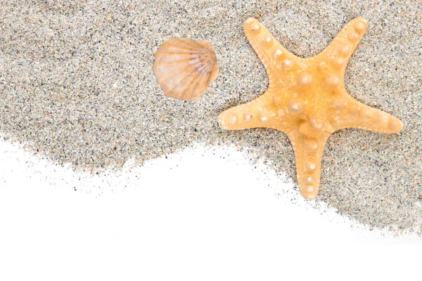 Starfish and shell  Beach sand — Stock Photo, Image