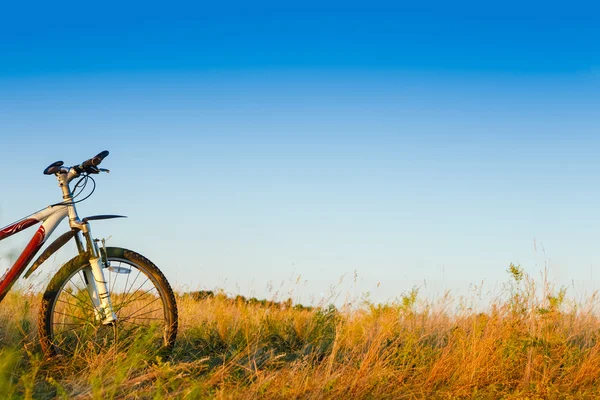 Велосипед на траве — стоковое фото