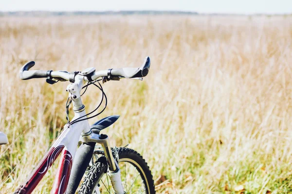 Vélo sur le champ d'herbe . — Photo