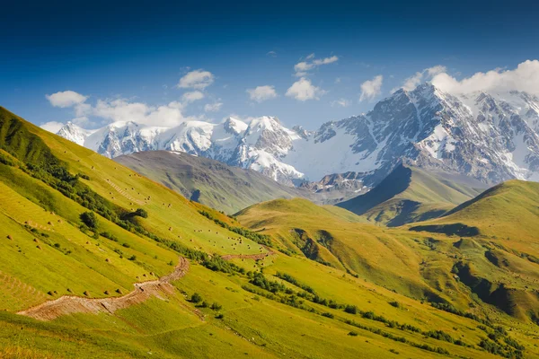 Kaukasus bergen, Georgien. — Stockfoto