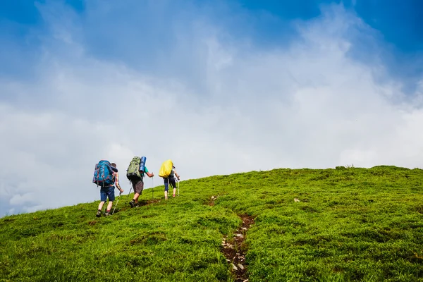 Equipe de caminhada nas montanhas de verão. conceito de estilo de vida esporte viagens — Fotografia de Stock