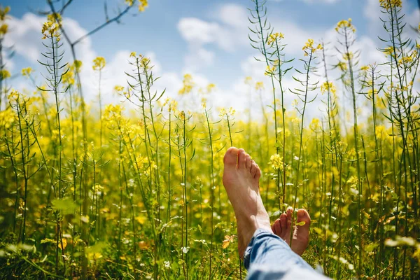 Relájese Campo Flores Amarillas Tiempo Soleado Verano — Foto de Stock