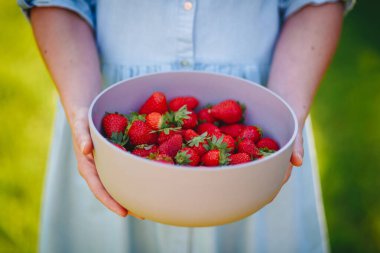 Yeşil doğaya sahip taze yaz çileklerini tutan kadın eller. Bahçeden taze çilek paylaşıyoruz.