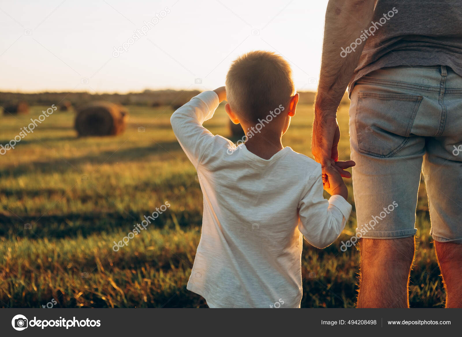 Père Son Fils Tiennent Main Champ Coucher Soleil Papa Fils image libre