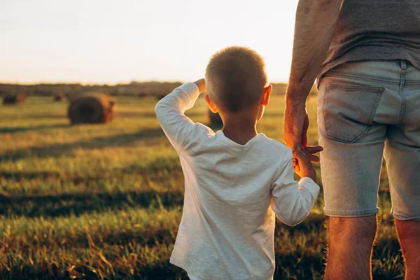 Apa Fia Fogják Egymás Kezét Naplemente Mezőn Apa Vezető Fia — Stock Fotó