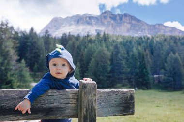 Yeşil ve kayalık dağlarda küçük bir gezgin. Dolomitlerde yaz sahnesi, İtalyan Alpleri
