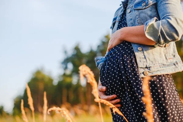 Schwangerschaft Mutterschaft Und Neues Familienkonzept — Stockfoto