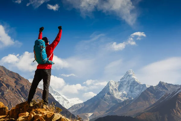 Young Male Hiker Backpack Top Mountain Sunny Summer Day — Stock Photo, Image