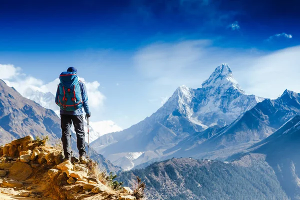 Wanderer Mit Wanderstöcken Steht Hang Vor Dem Hintergrund Hoher Schneebedeckter — Stockfoto