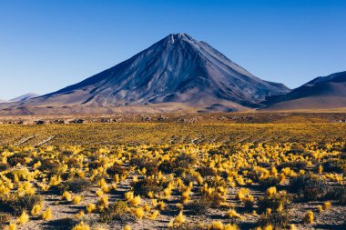 Katarpe, Licancabur volkanı, Atacama Çölü, Şili