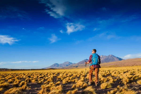 Homem Solo Viajando Mochileiro Caminhadas Nas Montanhas Ativo Saudável Estilo — Fotografia de Stock