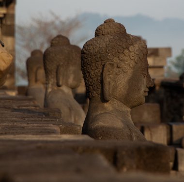 Yogyakarta, Java, Endonezya Borobudur Tapınağı'nda Buda heykelleri.