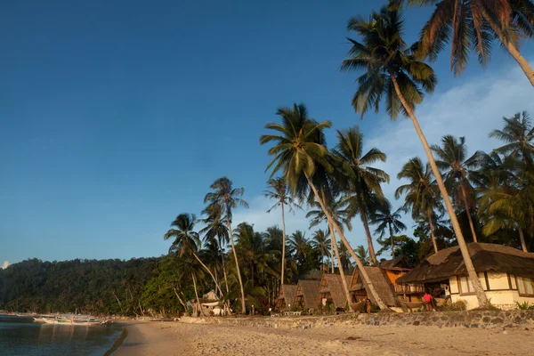 Vida de playa real en la isla de Palawan, Filipinas —  Fotos de Stock